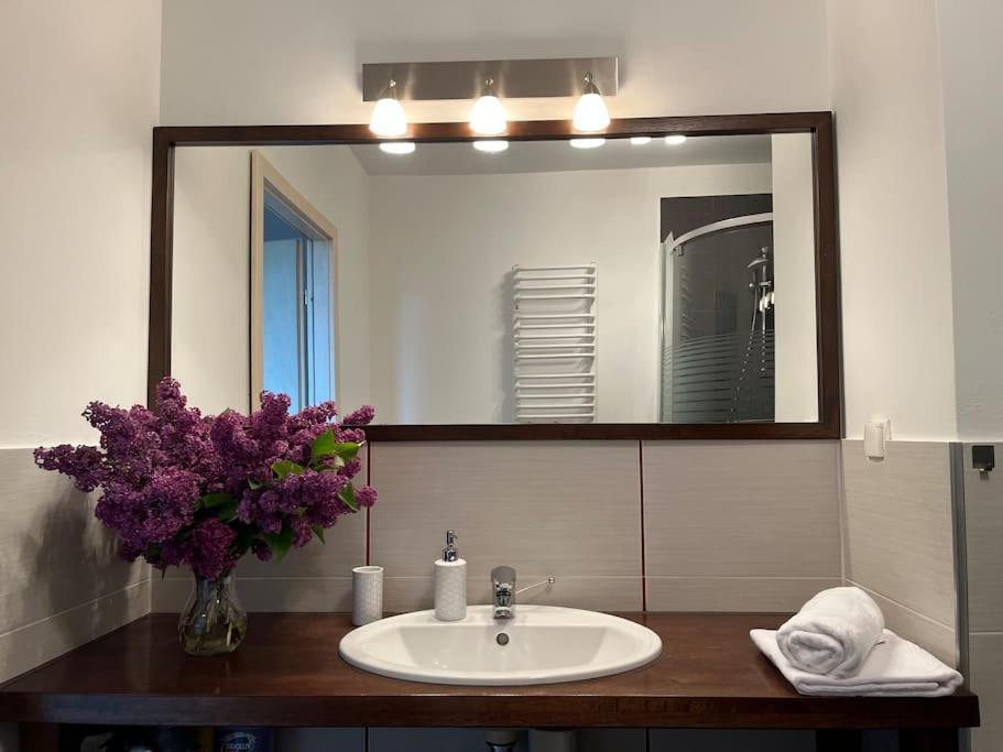 Apartament Hemingwaya Jelenia Góra Buitenkant foto