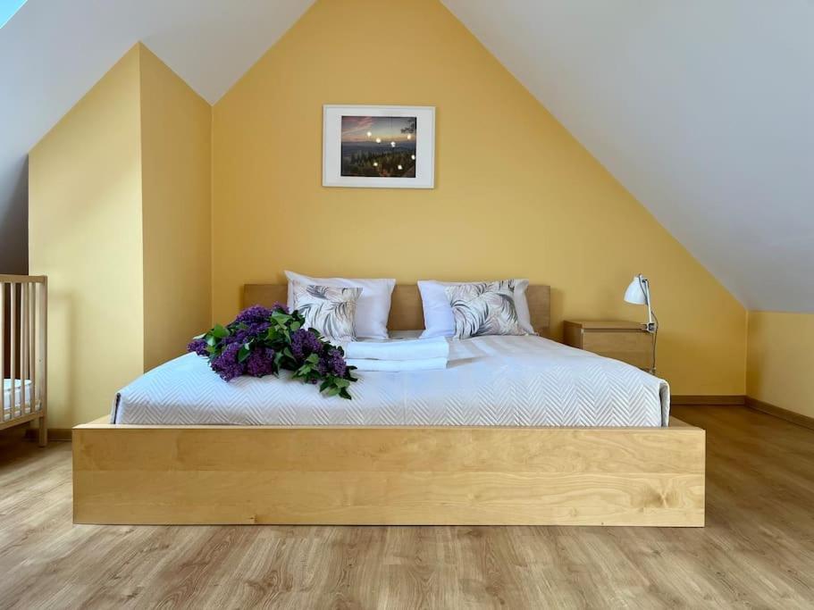 Apartament Hemingwaya Jelenia Góra Buitenkant foto