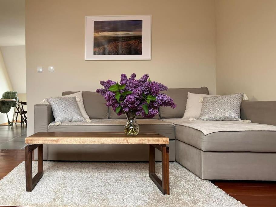 Apartament Hemingwaya Jelenia Góra Buitenkant foto